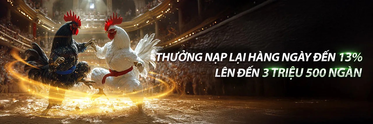 Hình ảnh chính về acb8 khuyến mãi và tiền thưởng cá cược