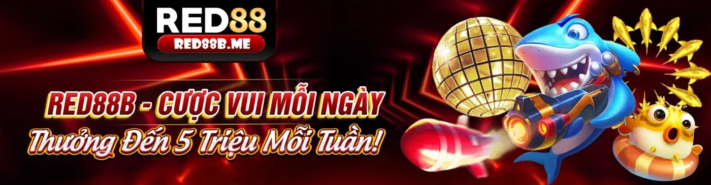 Tổng quan về cá cược thể thao acb8 khuyến mãi 2026